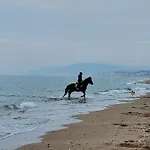 1 Вилле-сюр-Мер