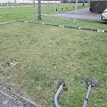 1 *