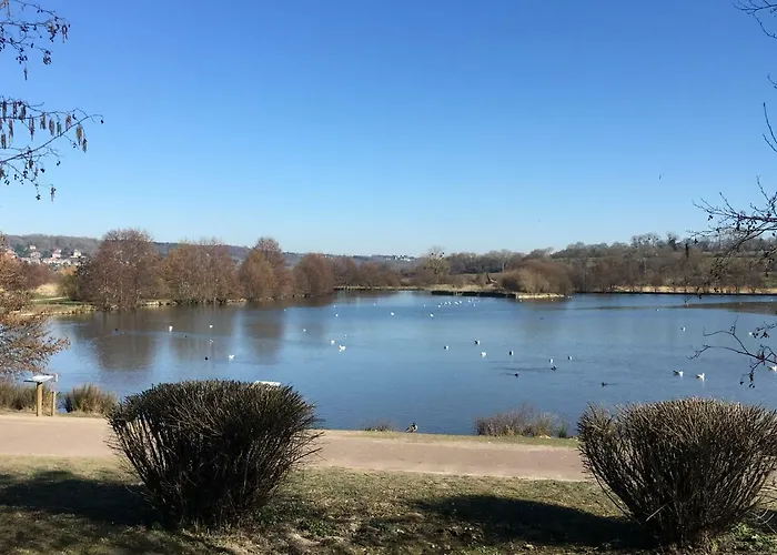 1 * Вилле-сюр-Мер